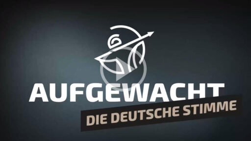 aufgewacht-ds-fusion-video