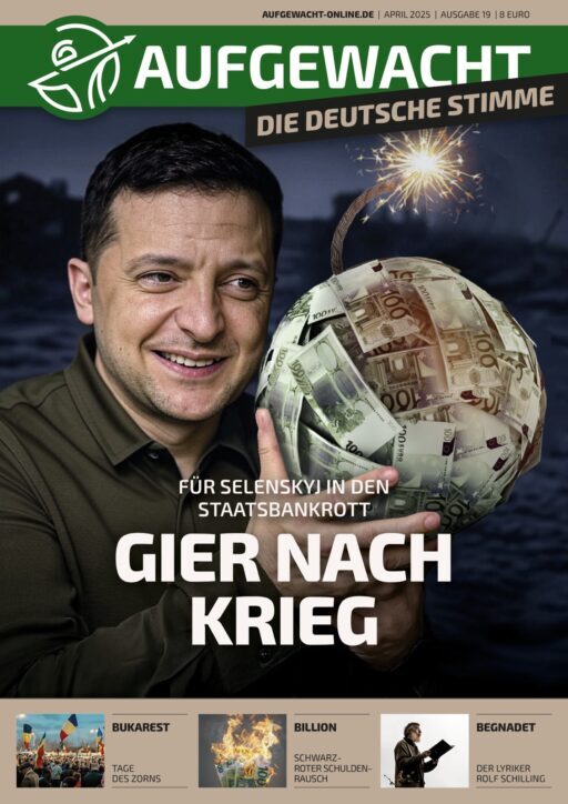 image-20250330-154319-889