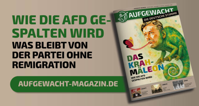 Cover-Krah-Aufgewacht